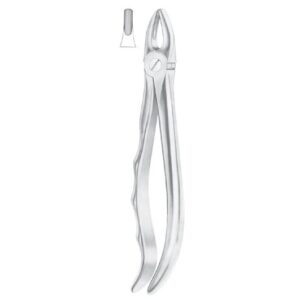 Extracting Forceps English Pattern