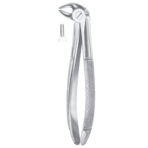 Extracting Forceps