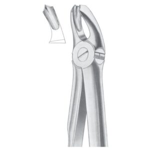 Extracting Forceps English Pattern