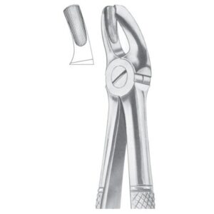 Extracting Forceps