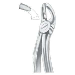Extracting Forceps English Pattern