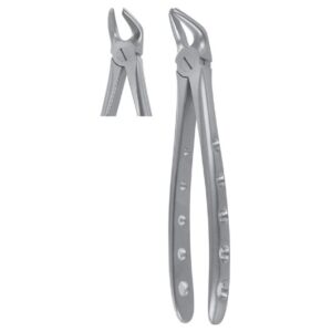Extracting Forceps