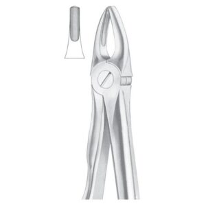 Extracting Forceps English Pattern