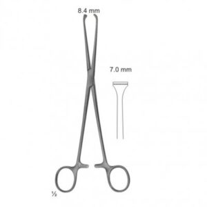Abdominal Surgery Intestinal And Rectal Instruments