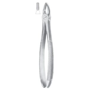 Extracting Forceps