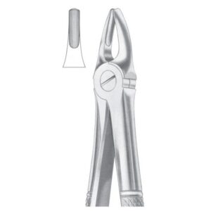 Extracting Forceps