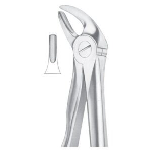 Extracting Forceps English Pattern