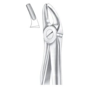 Extracting Forceps English Pattern