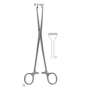 Abdominal Surgery Intestinal And Rectal Instruments