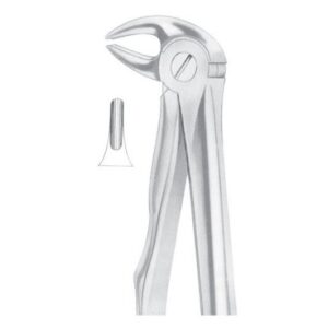 Extracting Forceps English Pattern