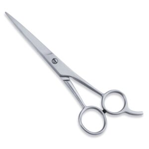Economy Scissors