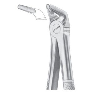 Extracting Forceps