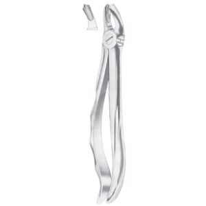 Extracting Forceps English Pattern