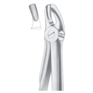 Extracting Forceps English Pattern